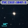 TYC 2317-1047-1
