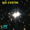 HD 239706