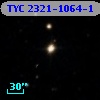 TYC 2321-1064-1