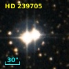 HD 239705