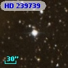 HD 239739