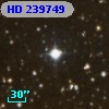 HD 239749