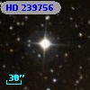 HD 239756