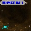 [WMM93] IRS 1