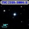 TYC 2318-1004-1