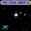 TYC 2318-1037-1