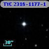 TYC 2318-1177-1