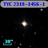 TYC 2318-1456-1