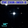 TYC 2318-1653-1