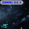 [SHM96] SS1  1