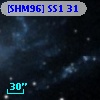 [SHM96] SS1 31