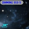 [SHM96] SS3  5