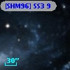 [SHM96] SS3  9