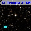Cl* Trumpler   37    KUN     312