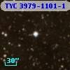 TYC 3979-1101-1