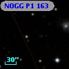 NOGG P1  163