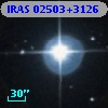 IRAS 02503+3126