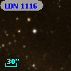 LDN 1116