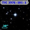 TYC 3976-101-1