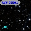 NSV 25501
