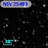 NSV 25493
