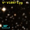 V* V1897 Cyg