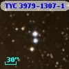 TYC 3979-1307-1