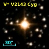 V* V2143 Cyg