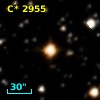 C* 2955