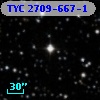 TYC 2709-667-1