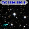 TYC 3980-856-1