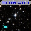 TYC 3980-1213-1