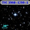TYC 3980-1299-1