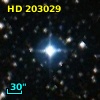 HD 203029
