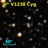 V* V1238 Cyg