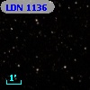 LDN 1136