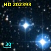 HD 202393
