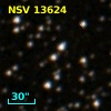 NSV 13624