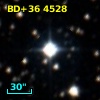 BD+36  4528
