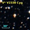 V* V2338 Cyg