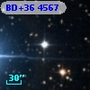 BD+36  4567