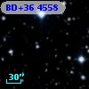 BD+36  4558