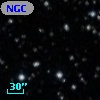 NGC  7063    13