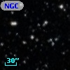 NGC  7063    19
