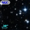 NGC  7063    20
