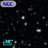 NGC  7063    22