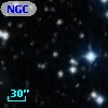 NGC  7063    25