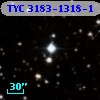 TYC 3183-1318-1