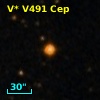 V* V491 Cep