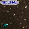NSV 13861